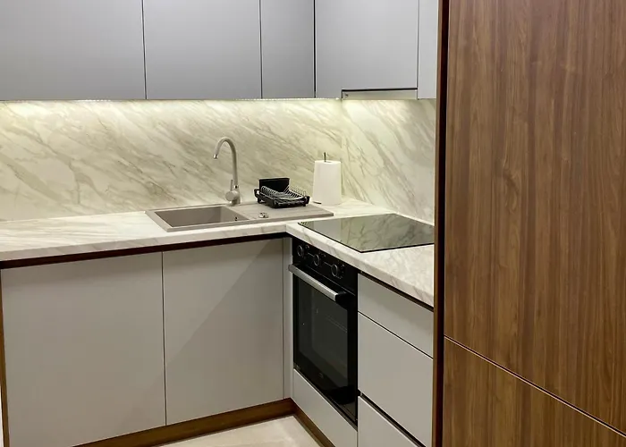 Apartman Filip Sa Garazom شقة دوبوي